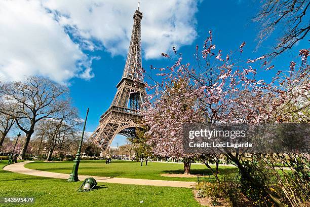 eiffel tower - paris springtime stock pictures, royalty-free photos & images