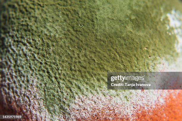 texture green mould of citrus fruits, close up - mildew stock pictures, royalty-free photos & images