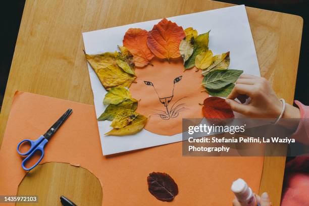 lion with mane made out of autumn leaves - leaflitter stock pictures, royalty-free photos & images