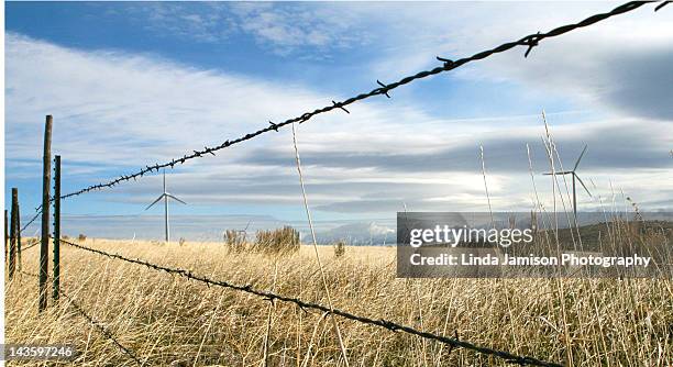 barbed wire and windmills - idaho falls stock-fotos und bilder