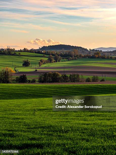 bright colors of the sunset in the fields of alsace. - lotharingen stockfoto's en -beelden