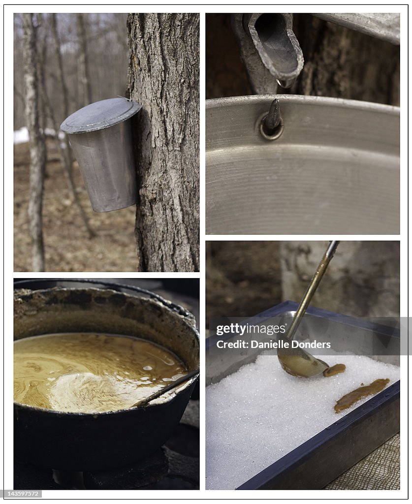 From maple tree to taffy