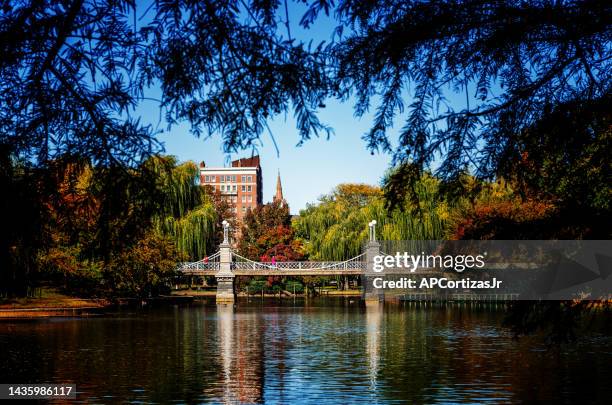 the boston public garden - boston massachusetts - lagoon willow stock pictures, royalty-free photos & images