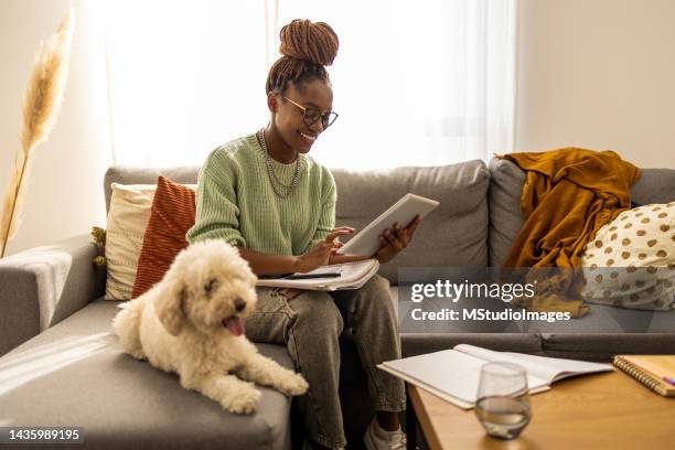 afroamerikanische frau, die online studiert - account dog stock-fotos und bilder