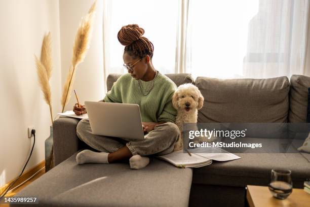 african american student - account dog stock pictures, royalty-free photos & images