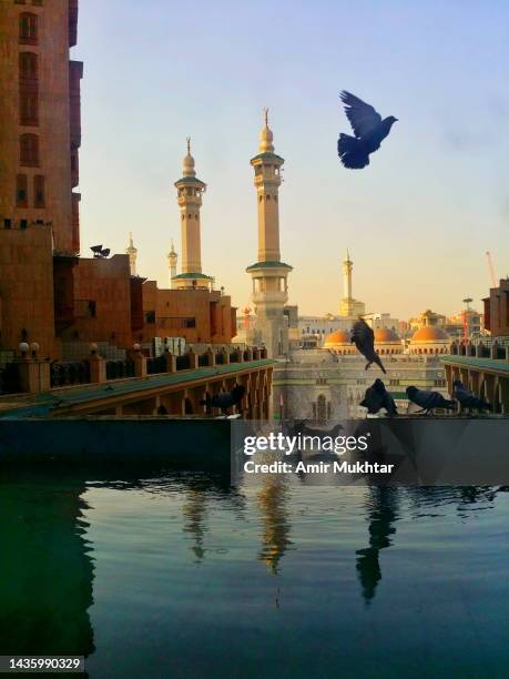 pigeons flying and taking bath infront of al-haram mosque minarets at sunset time. - mecca stock pictures, royalty-free photos & images