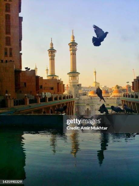 pigeons flying and taking bath infront of al-haram mosque minarets at sunset time. - makkah mosque stock pictures, royalty-free photos & images