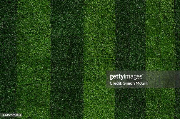 artificial plant leaf plastic panels in two shades of green on a building's exterior wall - boxwood foto e immagini stock