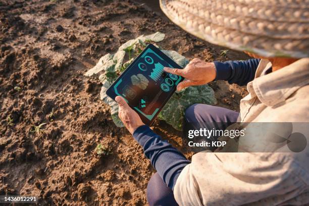 male farmer using digital tablet with virtual reality artificial intelligence (ai) for analyzing diseased plant in pumpkin agriculture fields. technology smart farming and innovation agricultural concepts. - internet of things agriculture stock pictures, royalty-free photos & images