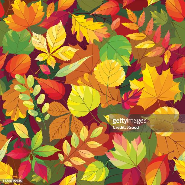 bildbanksillustrationer, clip art samt tecknat material och ikoner med autumn seamless pattern - fall harvest