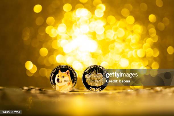 dogecoin and shiba inu cryptocurrency on shiny background - shiba inu lights 個照片及圖片檔