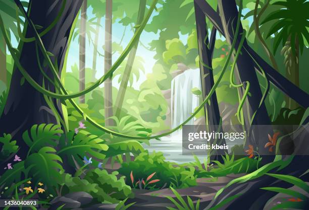 illustrazioni stock, clip art, cartoni animati e icone di tendenza di bella cascata della giungla - foresta pluviale