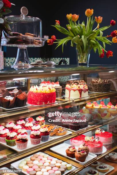beautiful bakery and cafe setting with fridge display full of delicious treats, cakes, cupcakes, tarts and more, beautiful vase with tulips on top, dark background - salão-de-chá imagens e fotografias de stock