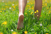 Close up of a woman bare feet walking on the grass