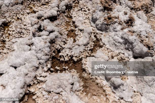 close-up of salt crystals on a salt flat - lithium stock-fotos und bilder