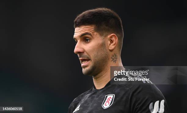Fulham striker Aleksandar Mitrovic looks on during the Premier League match between Leeds United and Fulham FC at Elland Road on October 23, 2022 in...