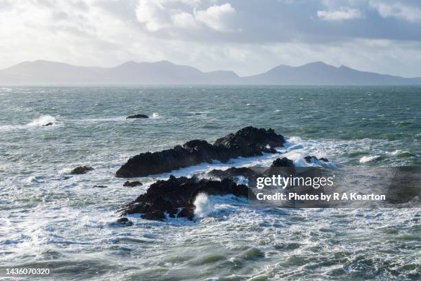 rocks off ynys llanddwyn, anglesey, north wales - tor stock pictures, royalty-free photos & images