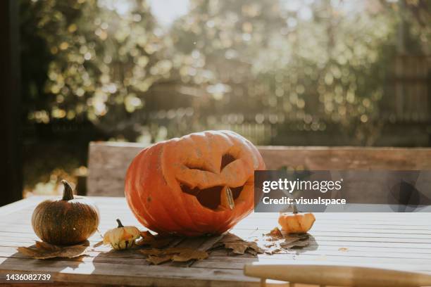 halloween pumpkin in the autumn sun - halloween-lantern stock pictures, royalty-free photos & images