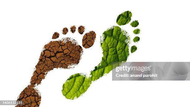 green footprint, environmental conservation - carbon footprint stock pictures, royalty-free photos & images
