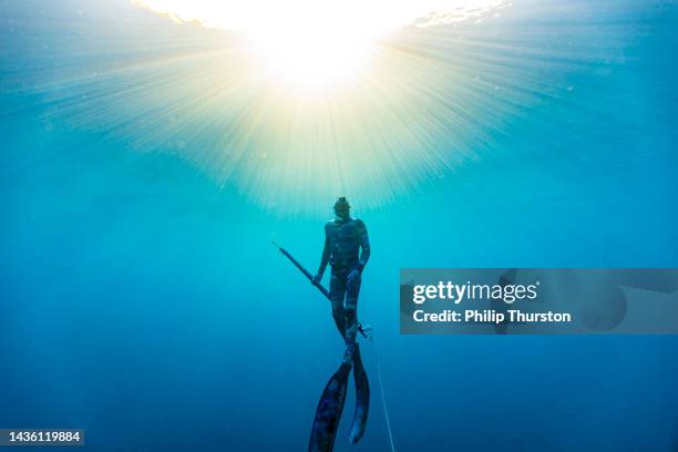 pescador submarino, explorando y cazando peces en el océano azul profundo - buceo de profundidad fotografías e imágenes de stock