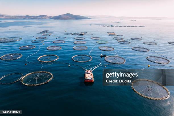 drone view fish farms in the sea - sustainable fishing stock pictures, royalty-free photos & images