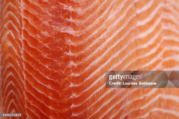 close-up image of the texture of the flesh of a piece of raw salmon - salmon steak stock-fotos und bilder