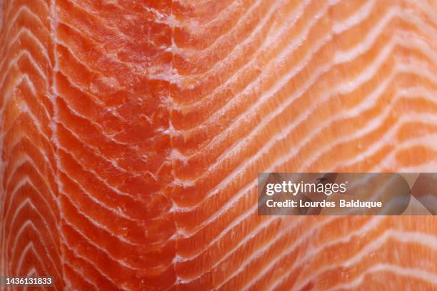 close-up image of the texture of the flesh of a piece of raw salmon - filete de salmón fotografías e imágenes de stock