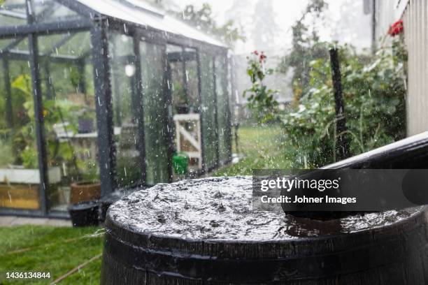 barrel collecting rainwater in garden - vattenhushållning bildbanksfoton och bilder