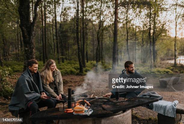 friends having grill in forest - snag tree stock pictures, royalty-free photos & images