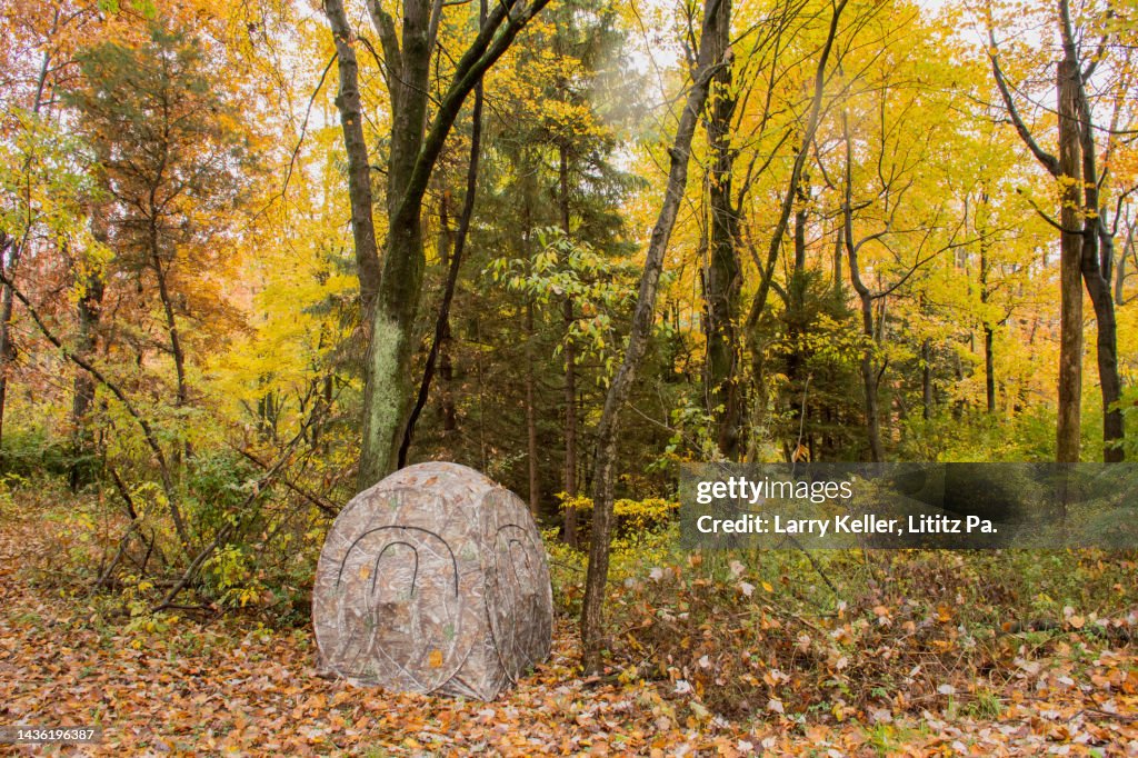 A Whitetail Deer hunting stand during fall a ground blind