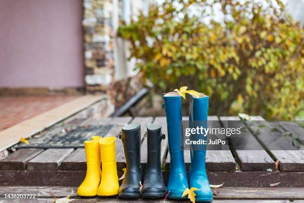 colour wellingtons on wood staircase - rubberlaars stockfoto's en -beelden