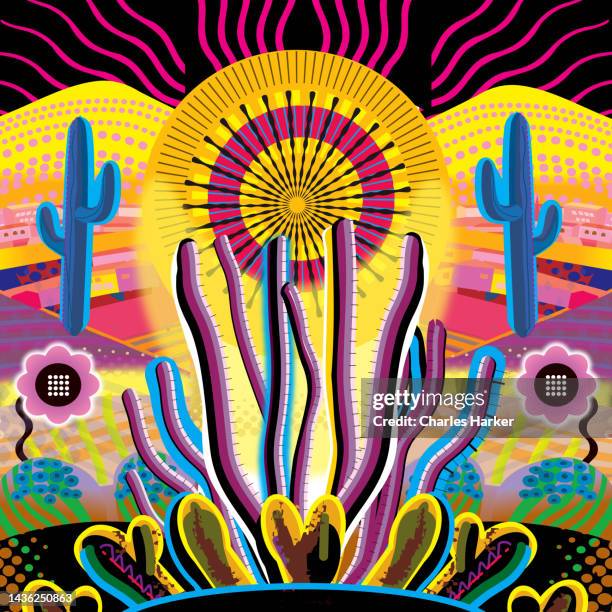 sunrise landscape desert garden, saguaro, ocotillo and flowering cactus. - mexican flower pattern stock-fotos und bilder