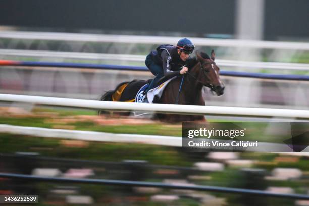 James McDonald riding Loft during the Breakfast With The Stars Trackwork Session at Flemington Racecourse on October 25, 2022 in Melbourne, Australia.