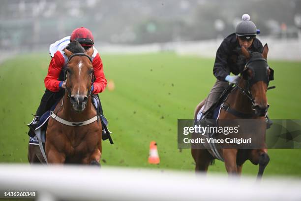 70 Vince Riordan Stock Photos, High-Res Pictures, and Images - Getty Images
