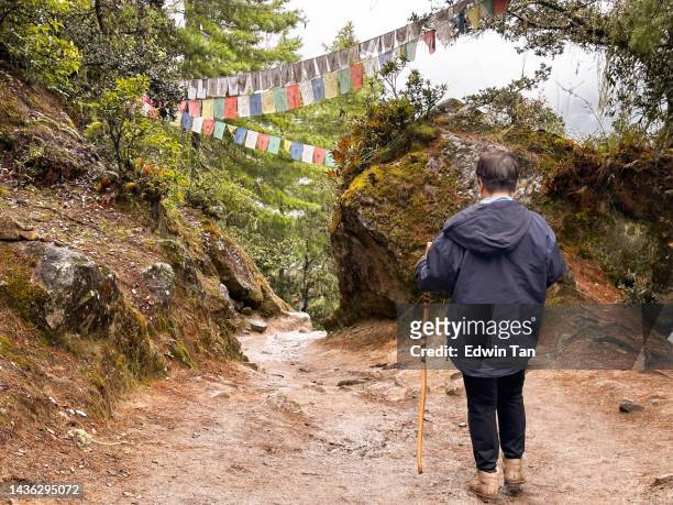asian chinese female tourist looking at a view hiking at paro taktsang  monastery in bhutan - disparo bildbanksfoton och bilder