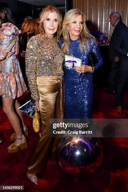 Cheri Kaufman and Princess Yasmin Aga Khan attend the 2022 Alzheimer's Association Imagine Benefit, built on the legacy of the Rita Hayworth Gala at...