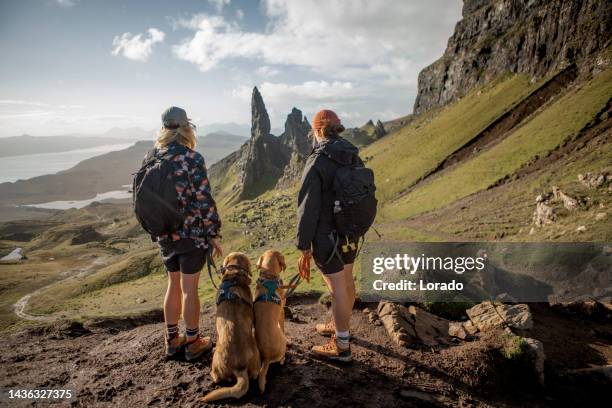 two female hikers walking through scotland with their dogs - old man of storr stock pictures, royalty-free photos & images