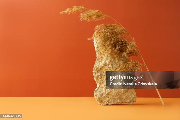 showing product on bright yellow and orange red background with rocks, dry flower. closeup of merchandise composition for advertisement. horizontal, front view of stage set decoration, copy space, nature marketing - stage set stock pictures, royalty-free photos & images