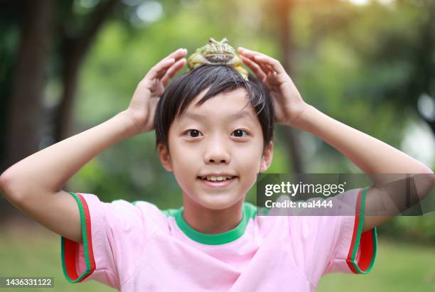 boy holding a frog - boy frog stock pictures, royalty-free photos & images