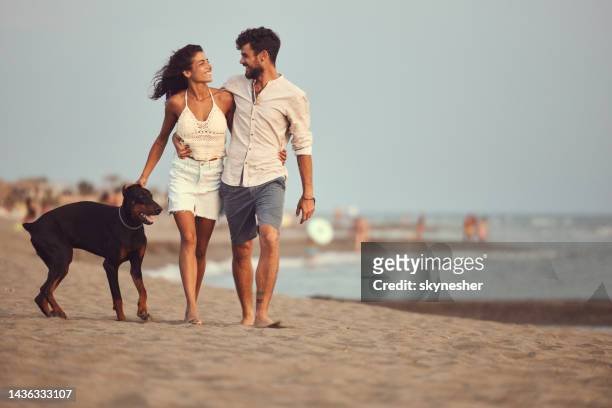 walking with a dog on the beach! - white doberman pinscher stock pictures, royalty-free photos & images