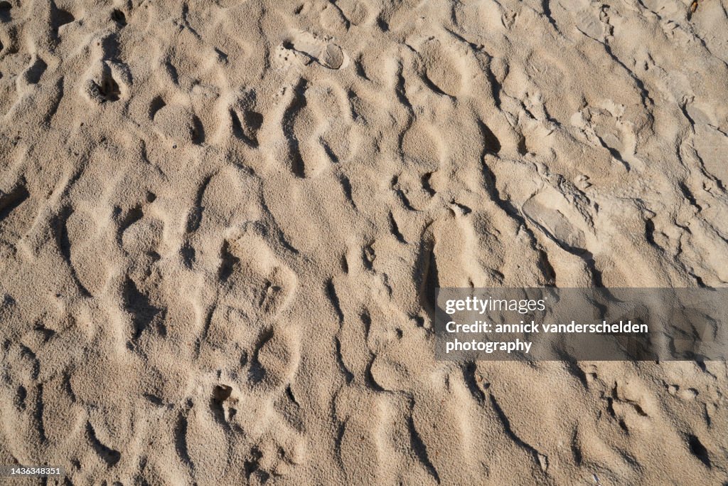 Sand of beach