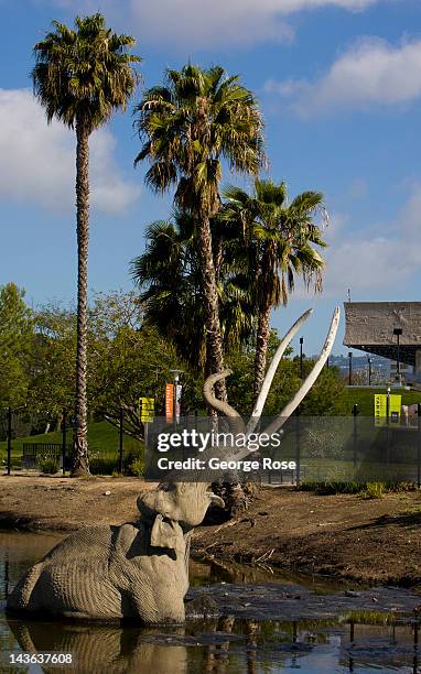 735 La Brea Tar Pits Stock Photos, High-Res Pictures, and Images