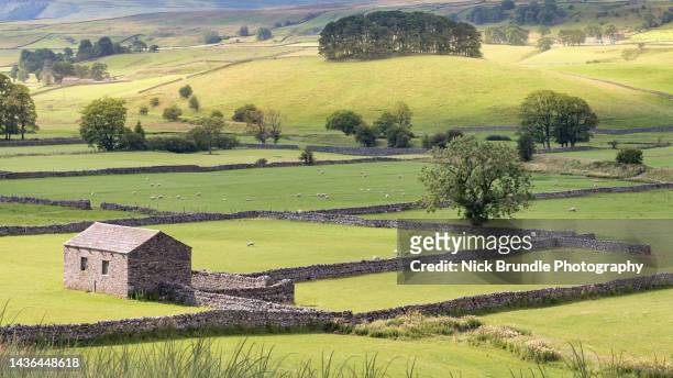 yorkshire dales, england - barn stock pictures, royalty-free photos & images