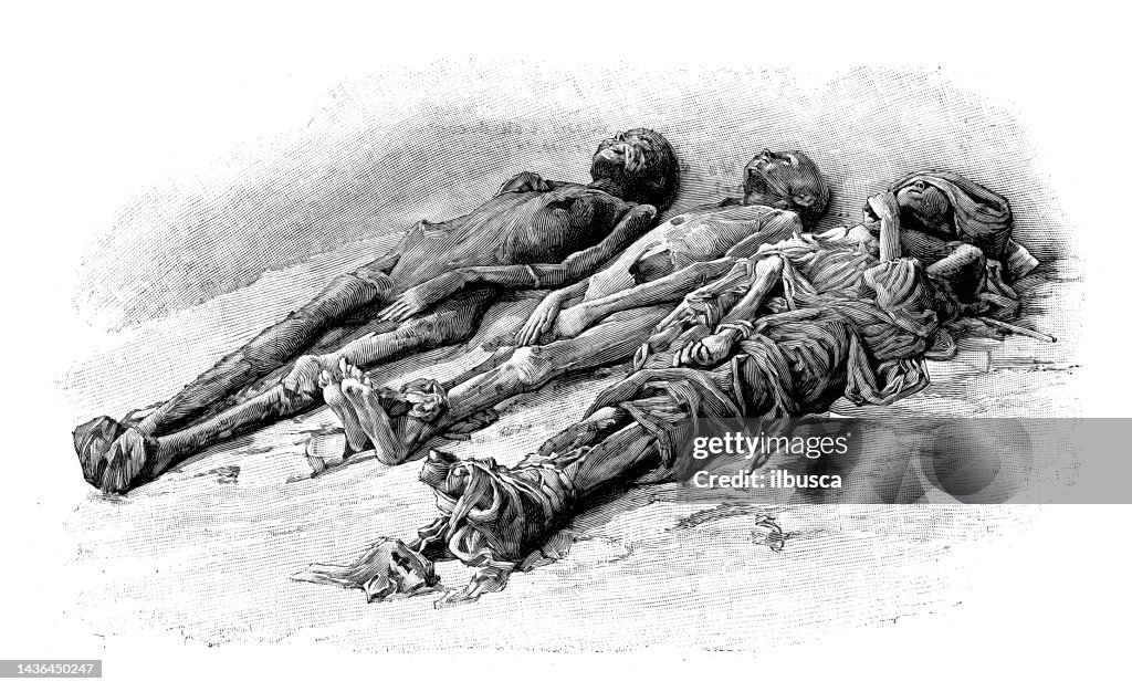 Antikes Bild: Erkundung des Grabes von Amenophis II., Tal der Könige, Mumien