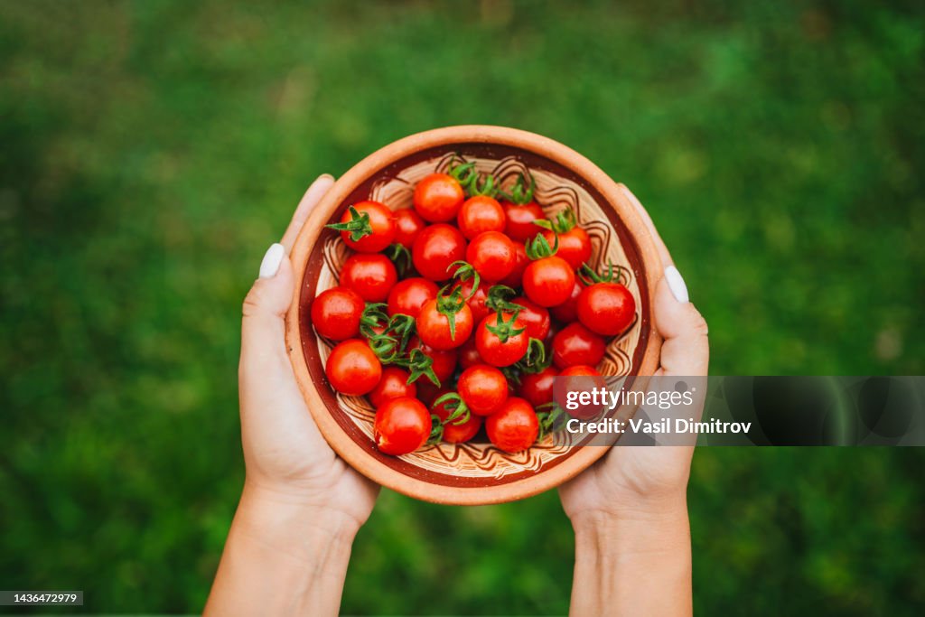Home grown cherry tomatoes