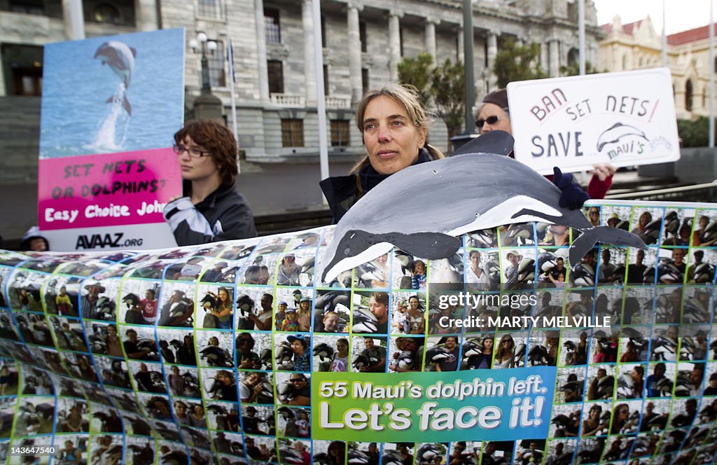 Campaigners attend a protest to protect 