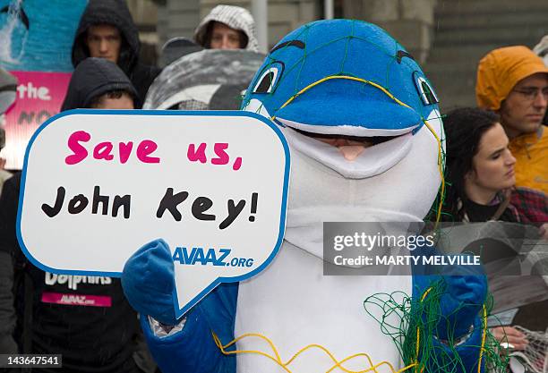 Campaigners dressed as dolphins attend a protest to protect the critically endangered Maui's dolphin, in front of Parliament House in Wellington on...