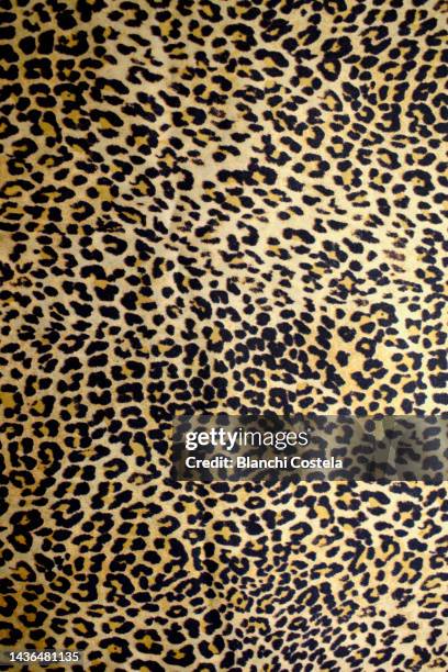 leopards (panthera pardus) fur, fabric - leopard stock pictures, royalty-free photos & images