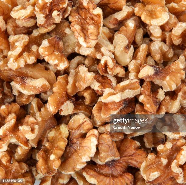 Open Nut Shell Open Nutshell Photos and Premium High Res Pictures - Getty Images