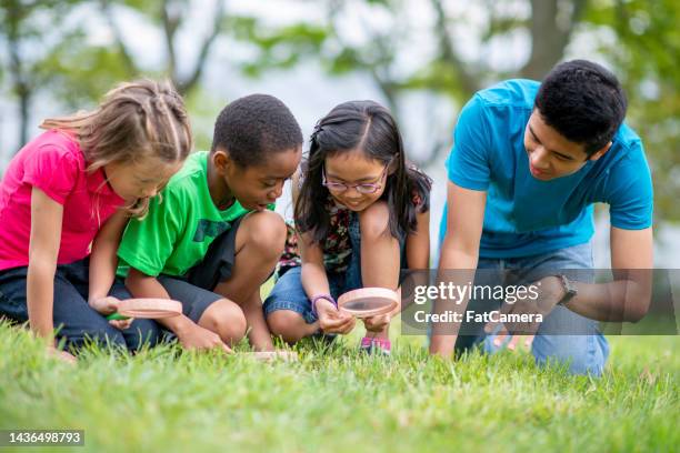 day camp counselor exploring with children - development camp stock pictures, royalty-free photos & images